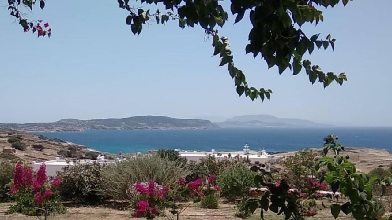 Stella's Koufonisia