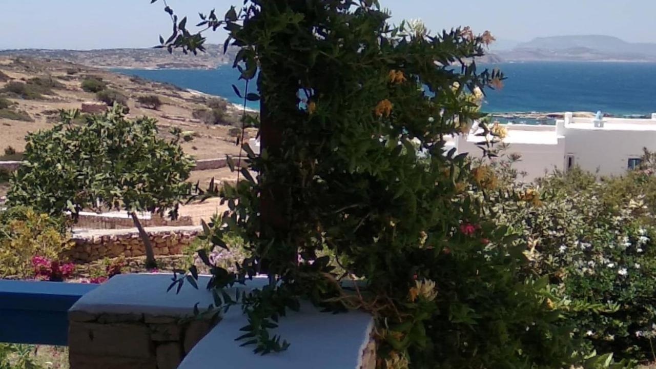 Stella's * Koufonisia